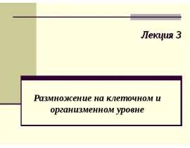 Размножение на клеточном и организменном уровне