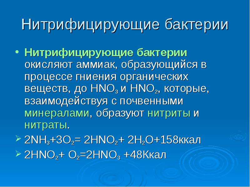 Презентация хемосинтез 10 класс профильный уровень