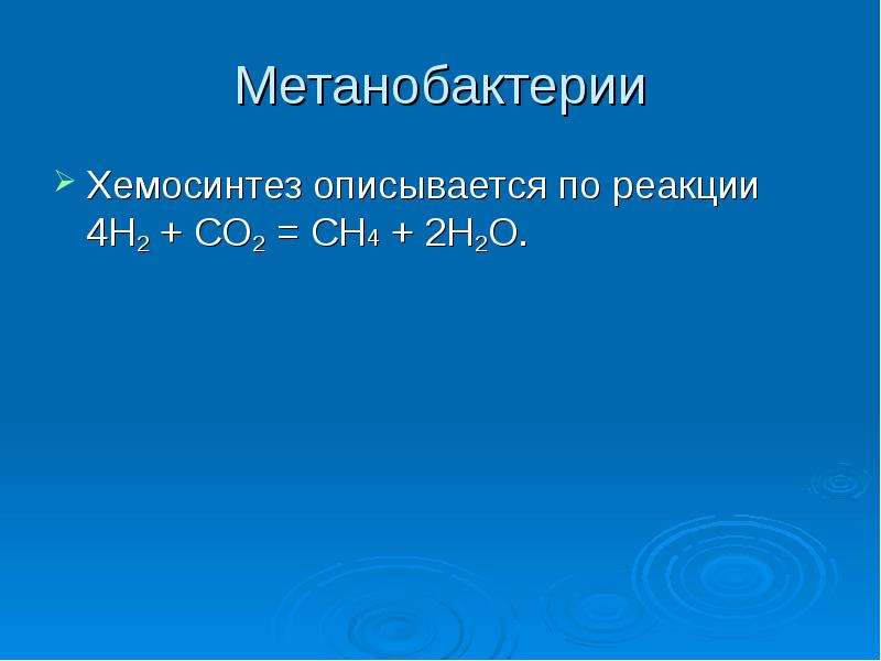 Презентация хемосинтез 10 класс