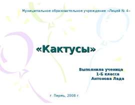 Кактусы (1 класс)