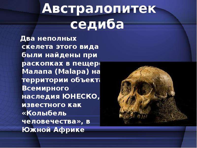 Австралопитеки презентация по биологии