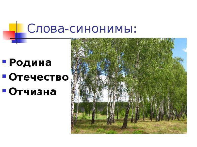 Подбери синонимы отчизна. Родина отчизна Отечество это синонимы. Синонимы к слову Родина. Подобрать синонимы к слову Родина. Образ Родины.