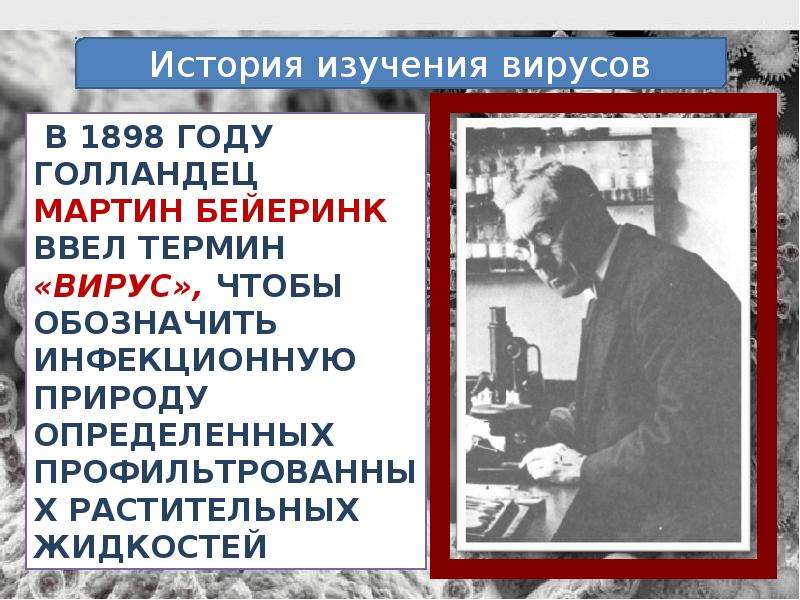 Вирусы беда 21 века презентация