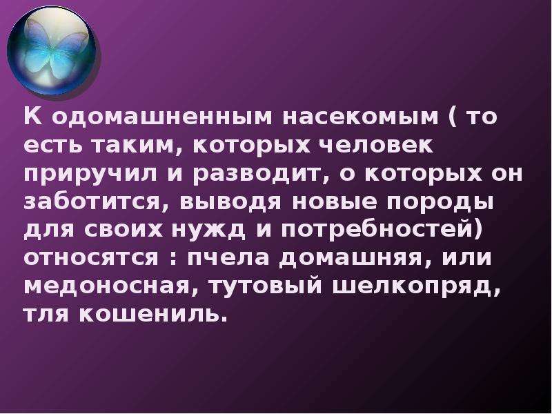 Одомашненные насекомые. Одомашненные насекомые презентация. Роль одомашненных насекомых в жизни человека. Роль одомашненных насекомых в жизни человека презентация. Презентация о одомашненных насекомых в жизни человека.