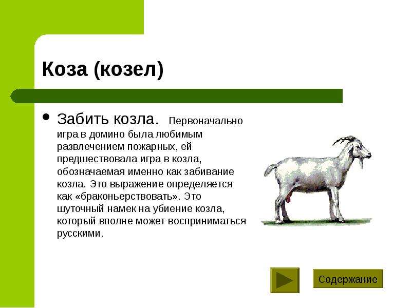 Правила игры в козла. Домино козёл. Забить козла. Козел презентация. Доклад про козу.