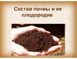 Состав почвы и ее плодородие