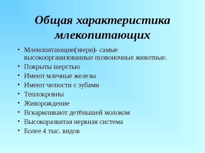 Презентация характеристика млекопитающих