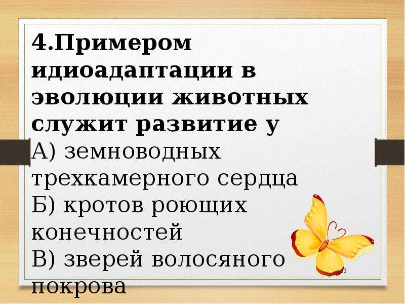 Презентация основные направления эволюции 10 класс презентация