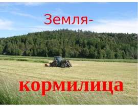 Какая почва в республике Мордовия? (4класс)