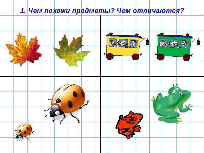 Картинки сравнение предметов по разным признакам