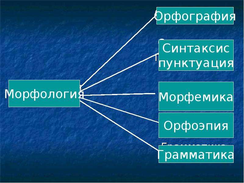 Морфология и синтаксис. Синтаксис пунктуация орфография. Морфология синтаксис пунктуация. Морфология синтаксис пунктуация орфография. Морфемика морфология синтаксис пунктуация.