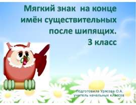 Мягкий знак на конце имен существительных после шипящих