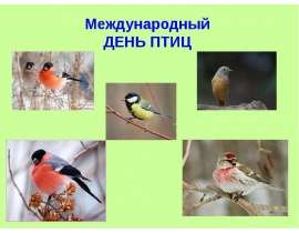Международный день птиц