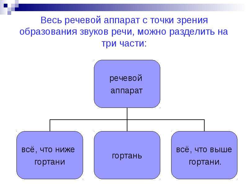 Можно разделить на три. Образование звуков речи. Схема образования звука. Звуки речи с акустической точки зрения. Роль звука в образовании речи.