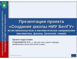 Школа НИУ "БелГУ"