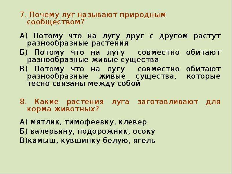 На лугу ответы на вопросы. Почему луг называется природным сообществом. Луг называют природным сообществом потому что. Почему луг это природное сообщество. Почему луг называют природным сообществом 2.