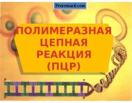 Полимеразная цепная реакция
