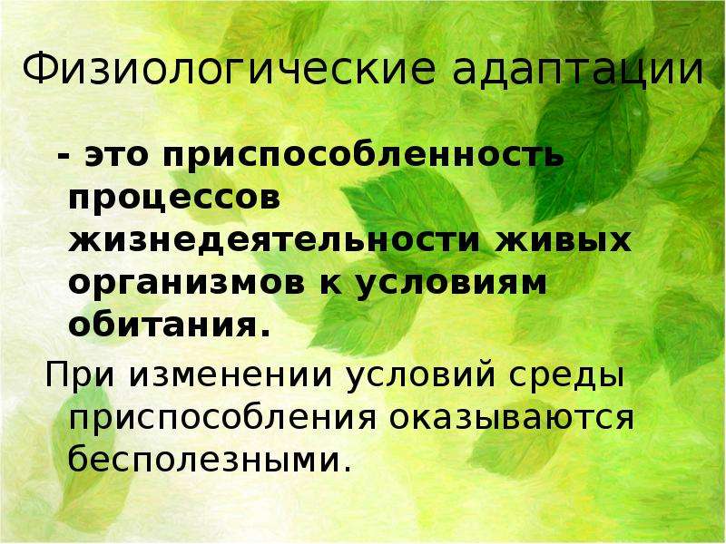 Приспособленность организмов к действию факторов среды презентация 9 класс