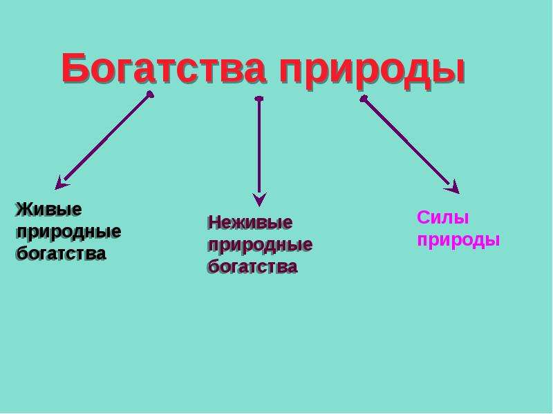 Проект природные. Богатства природы. Презентация богатства природы. Богатства природы отданные людям. Презентация на тему природные богатства.