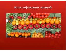 Классификация овощей (5 класс)