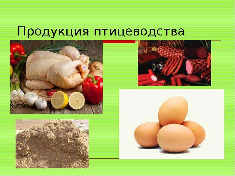 Презентация продукция животноводства