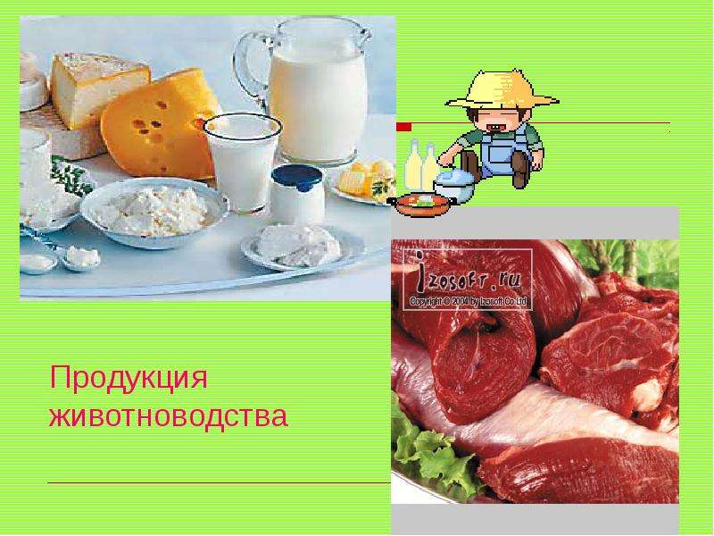 Основная продукция. Продукция животноводства. Продукты животноводства. Продукция животноводства презентация. Товары для животноводства.