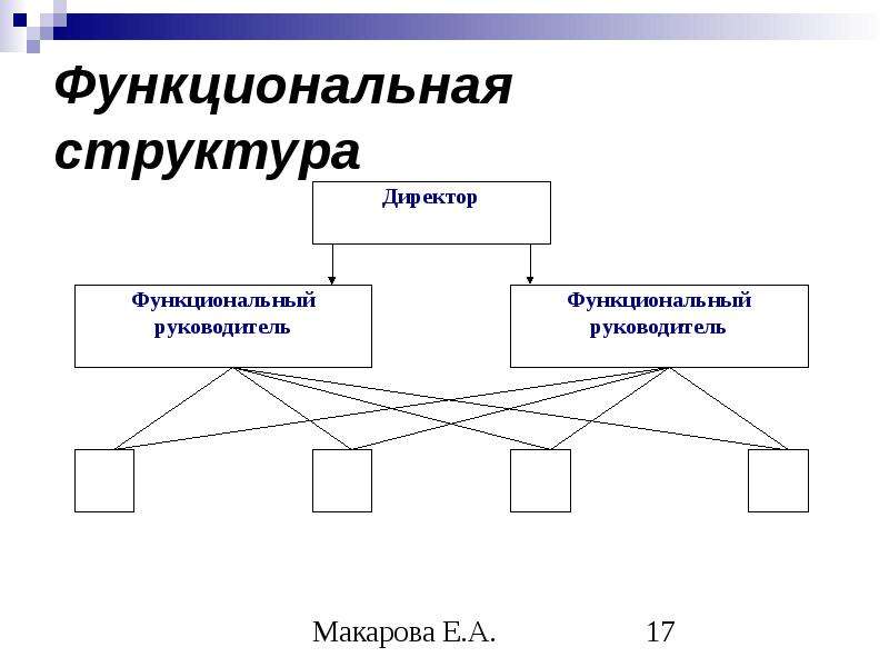 Что содержит схема функциональной структуры