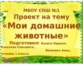 Мои домашние животные (1 класс)