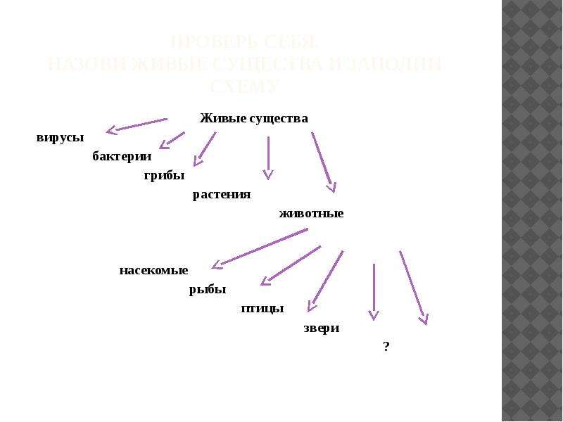 Признаки живых существ 2 класс схема