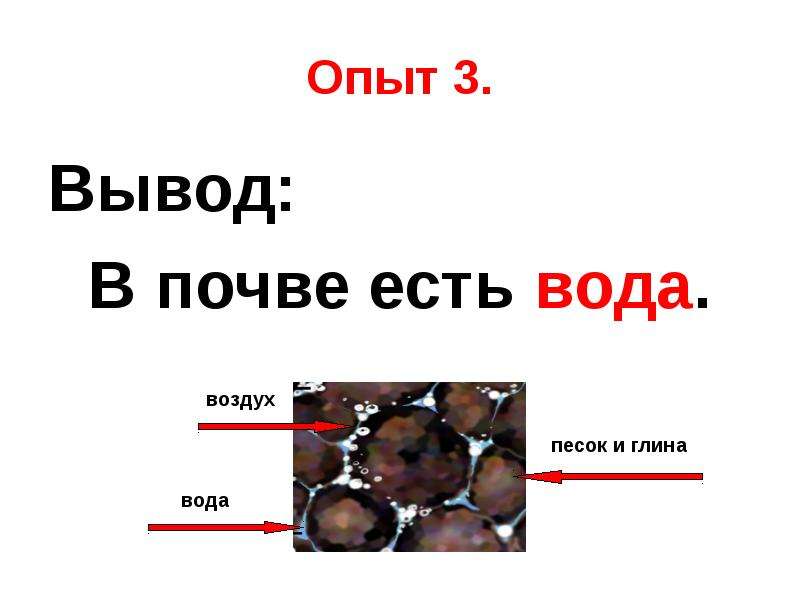 Вода в почве. В почве есть вода опыт. Опыт в почве есть песок и глина. Опыт в почве есть воздух. В почве есть вода и воздух.