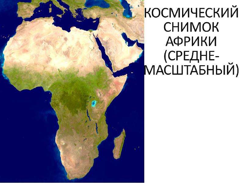 Карта язык географии презентация