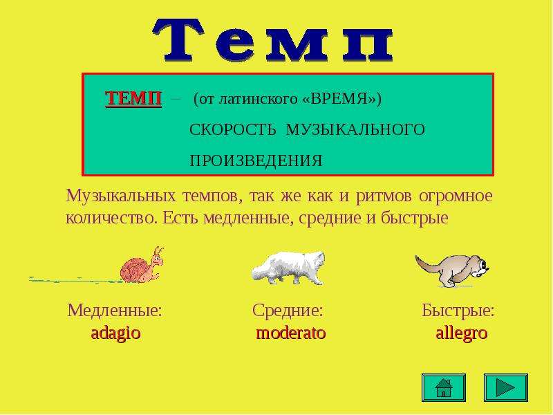 Медленный темп 5 букв на л