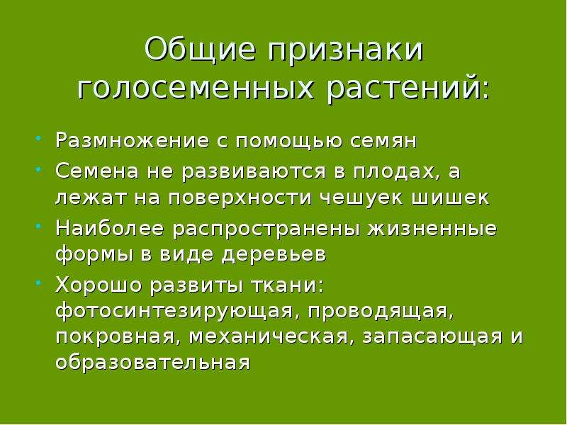 Особенности голосеменных. Общая характеристика голосеменных растений 6 класс. Характеристика отдела Голосеменные кратко. Жизненные формы голосеменных растений. Признаки отдела голосеменных.