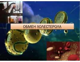 Обмен холестерола