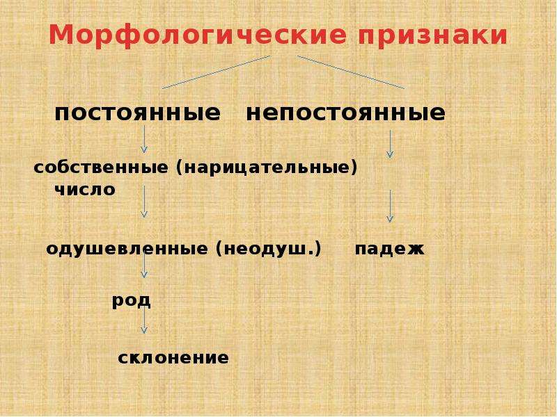 Морфологические признаки в результате. Существительное постоянные признаки и непостоянные признаки. Склонения постоянный признак или непостоянный. Что такое нарицательное. Постоянные признаки сшили.