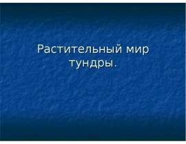 Растительный мир тундры