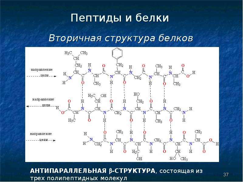 Презентация по химии 10 класс аминокислоты белки