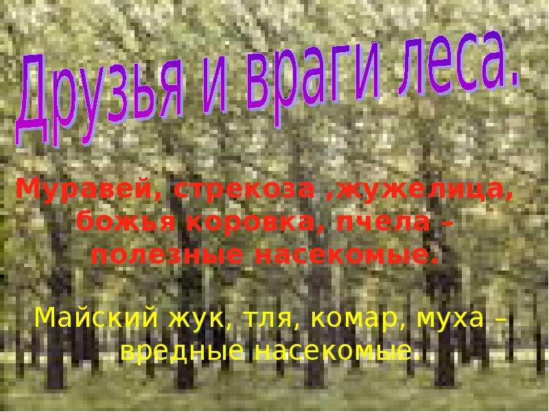 Презентация насекомые леса 2 класс школа 21 века презентация