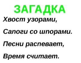 ЗАГАДКА "Петух"