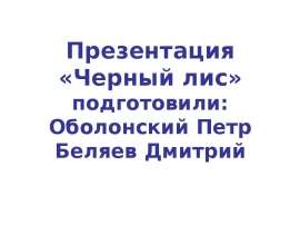 Черный лис