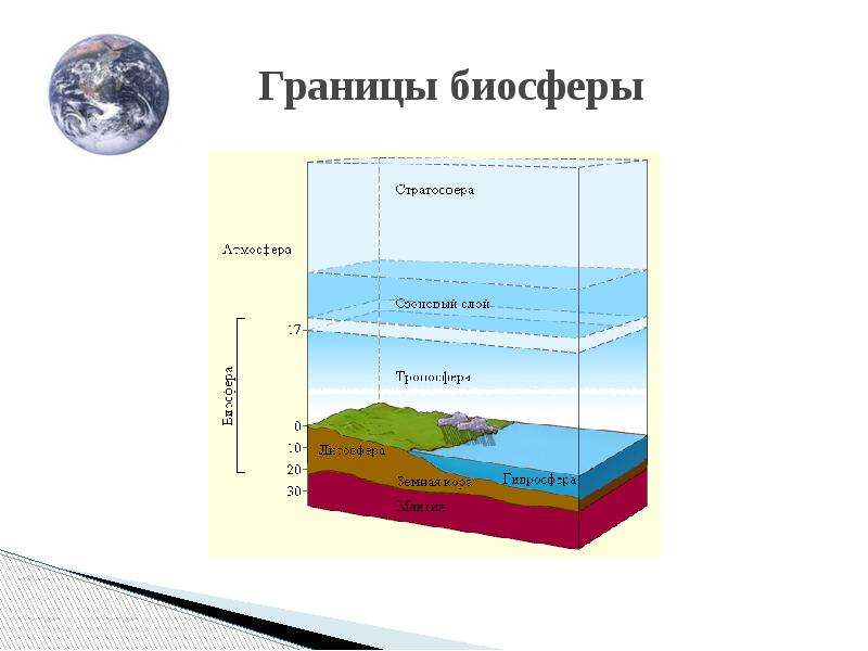 Биосфера живая оболочка земли презентация 5 класс география