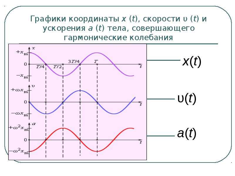 На рисунке изображен график зависимости координаты тела совершающего гармонические