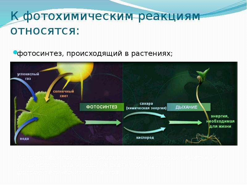 Презентация химическое действие света