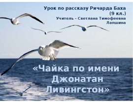 Чайка по имени Джонатан Ливингстон