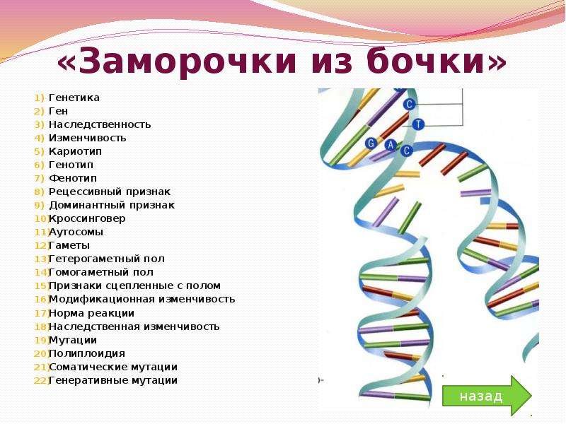 Методы исследования наследственности фенотип и генотип 9 класс пасечник презентация