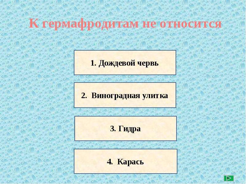 Гермафродитами являются. Гермафродитами не являются. Гермафродитами не являются дождевой червь. К гермафродитам относится. Дождевой червь относится к гермафродитизму.