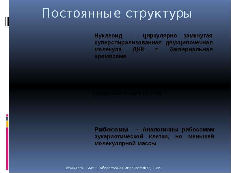 Постоянные структуры. Непостоянные структуры клетки. Постоянные и непостоянные структуры клетки. Постоянные и непостоянные составные части бактерий.