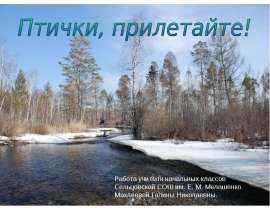 Птички, прилетайте!