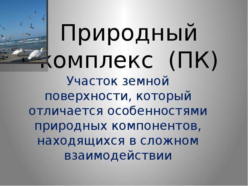 Географический комплекс. Природные комплексы. Природный комплекс это в географии. ПК природный комплекс. Природный комплекс это кратко.