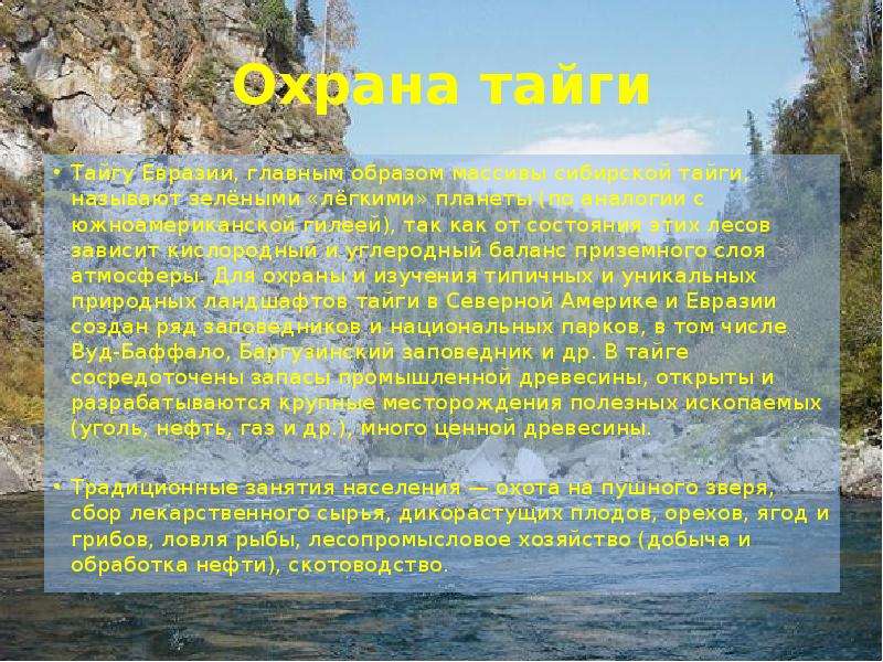 Охрана тайги Тайгу Евразии, главным образом массивы сибирской тайги, называют зелёными «лёгкими» пла